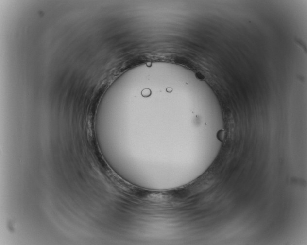 X0000099950699200805231002