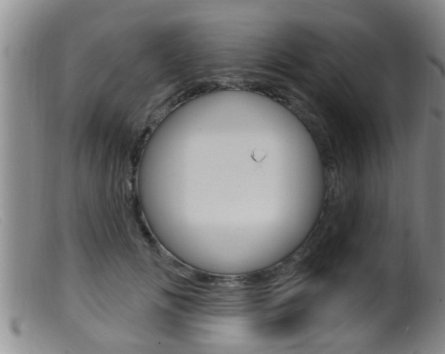 X0000099950702200805231002