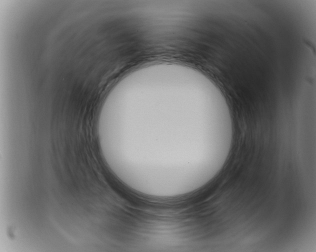 X0000099950705200805231002