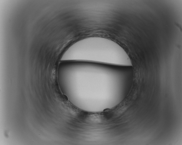 X0000099950708200805231002