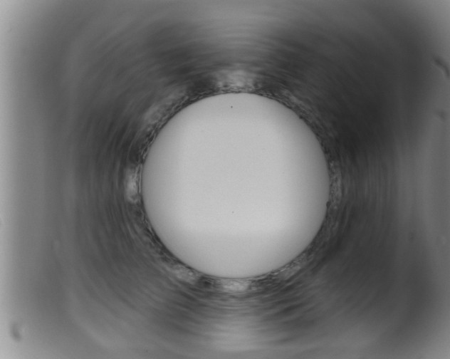 X0000099950709200805231001