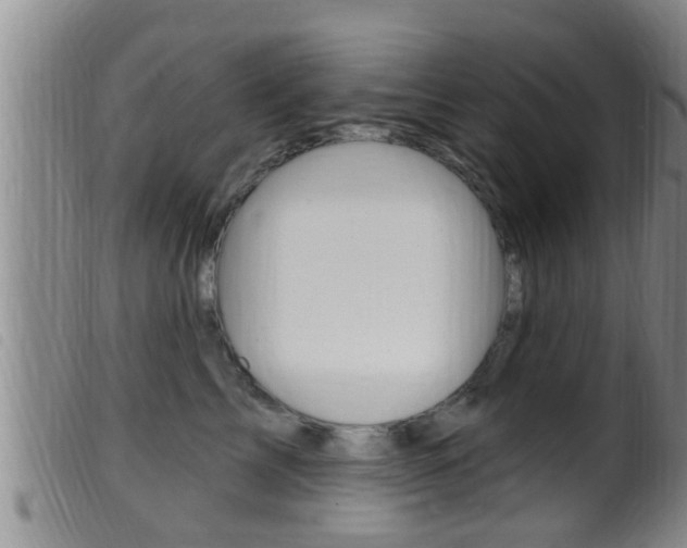X0000099950713200805231001