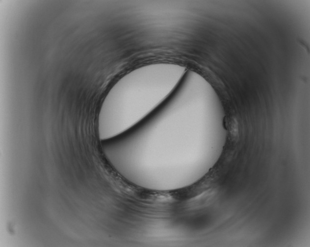 X0000099950715200805231001