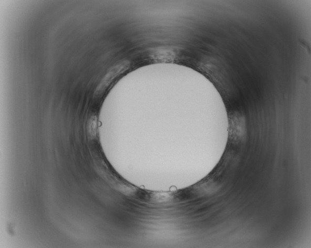 X0000099950717200805231001