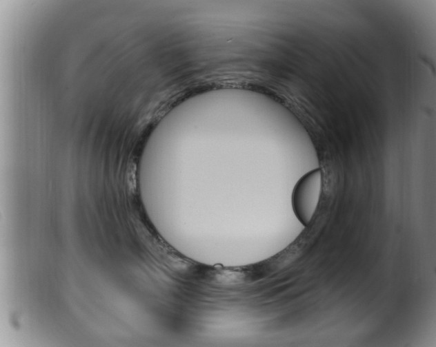 X0000099950718200805231001