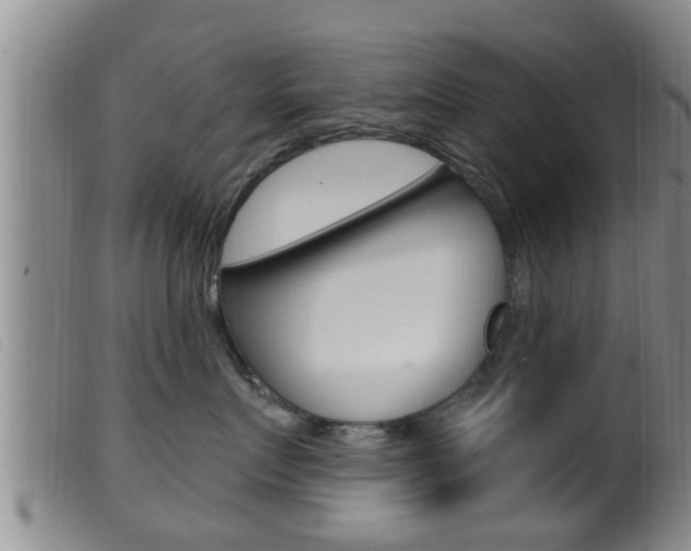 X0000099950719200805231001