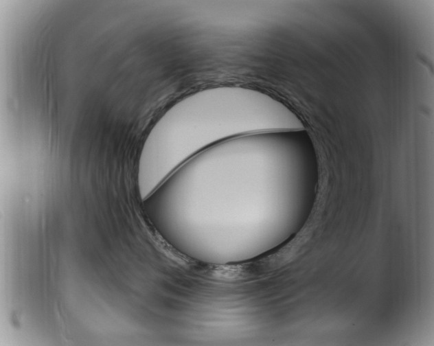 X0000099950720200805231001