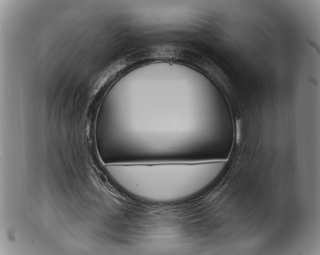 X0000099950723200805231001