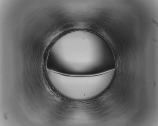 X0000099950724200805231001