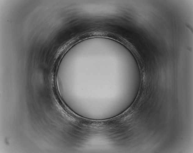X0000099950725200805231001
