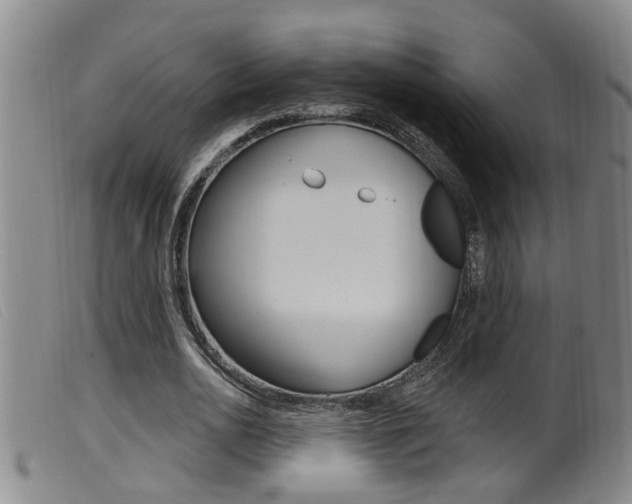 X0000099950726200805231001