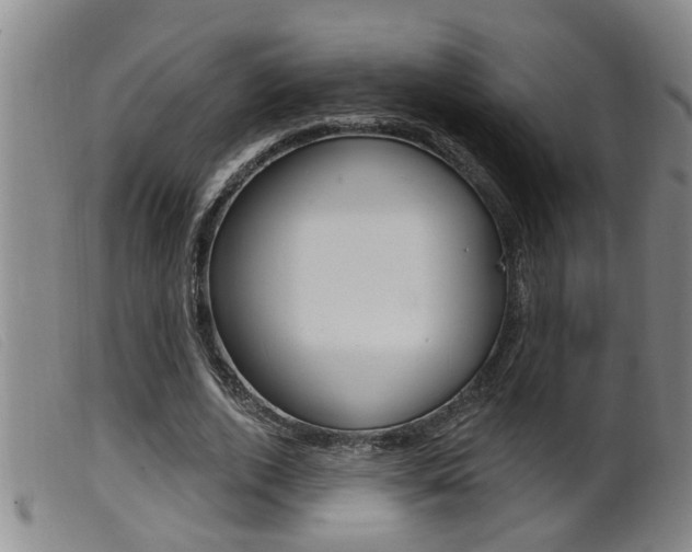 X0000099950728200805231001
