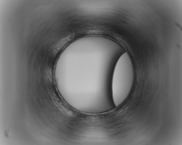 X0000099950729200805231001