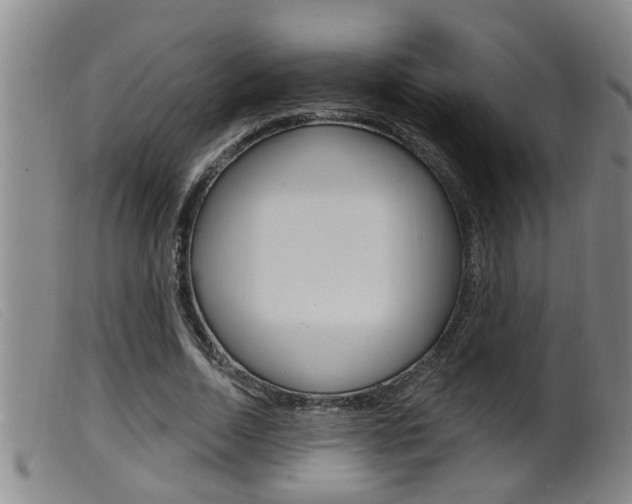 X0000099950730200805231001