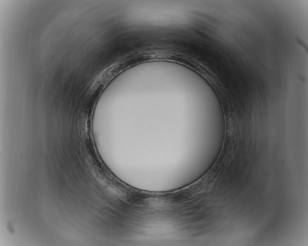 X0000099950733200805231001