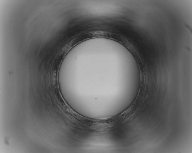 X0000099950737200805231001