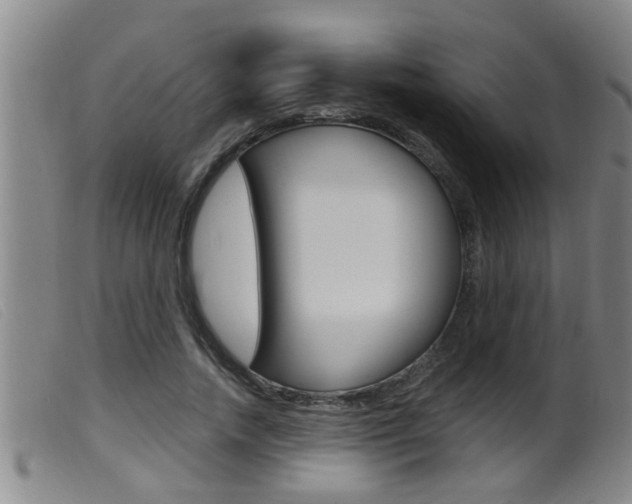 X0000099950738200805231001