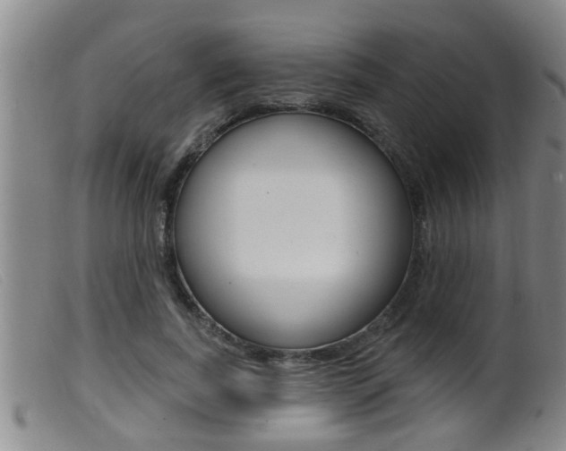 X0000099950739200805231001