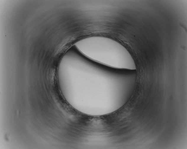 X0000099950742200805231001