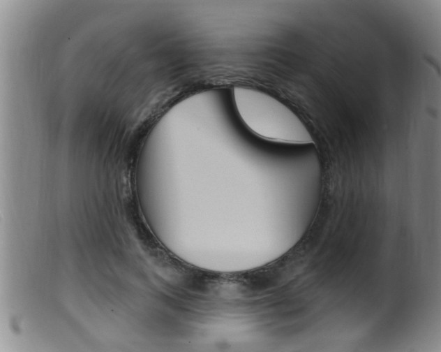 X0000099950743200805231001