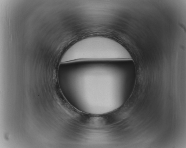 X0000099950748200805231001