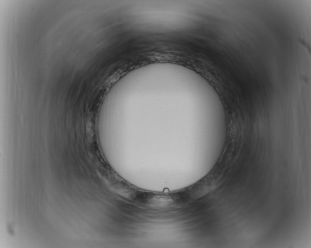 X0000099950749200805231001