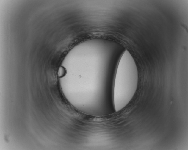 X0000099950751200805231001