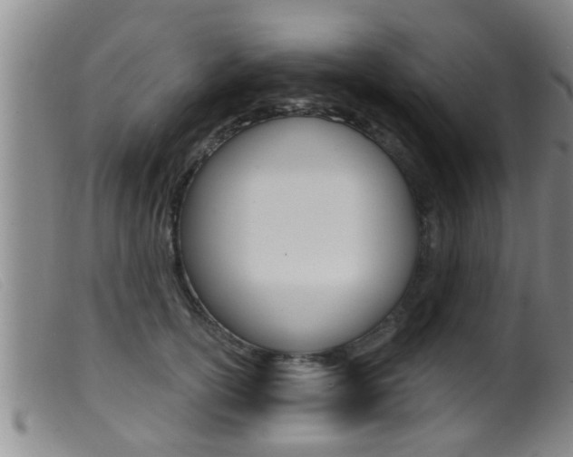 X0000099950754200805231001