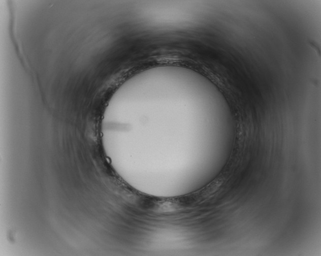 X0000099950755200805231001