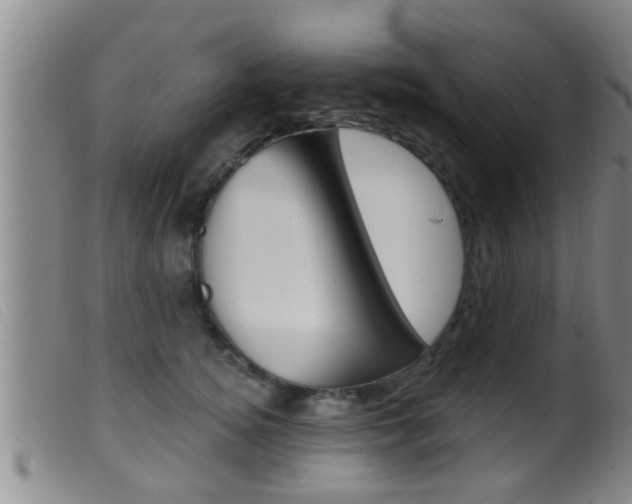 X0000099950756200805231001