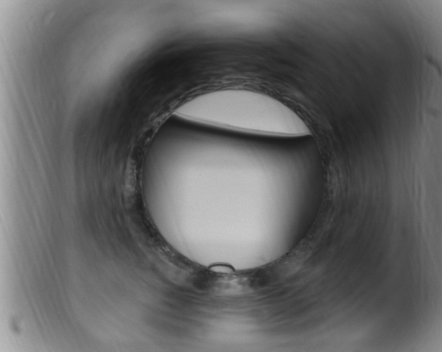X0000099950760200805231001
