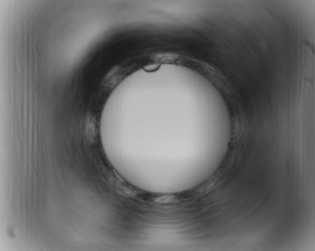 X0000099950761200805231001