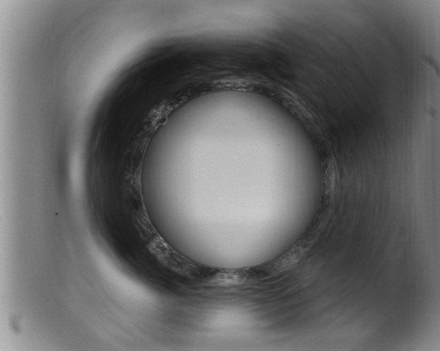 X0000099950764200805231001