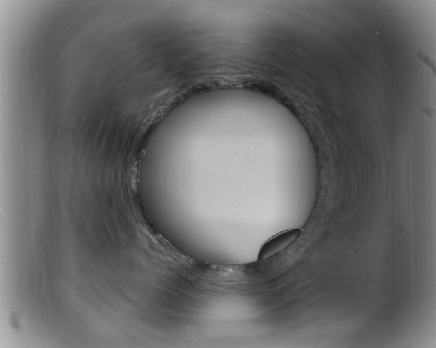 X0000099950768200805231001