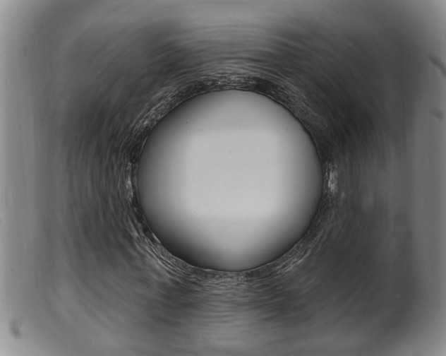 X0000099950771200805231001
