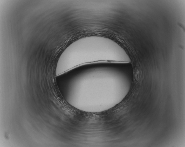 X0000099950772200805231001