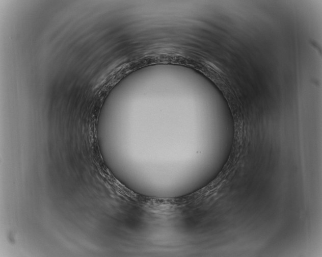 X0000099950774200805231001