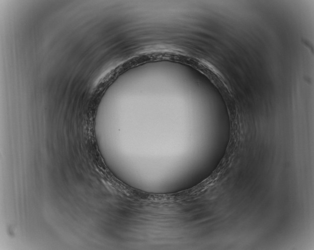 X0000099950775200805231001