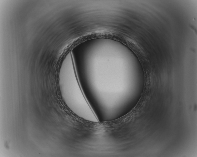 X0000099950776200805231001