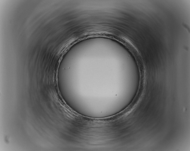 X0000099950777200805231001