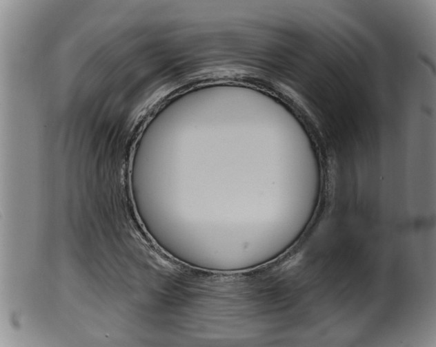 X0000099950778200805231000