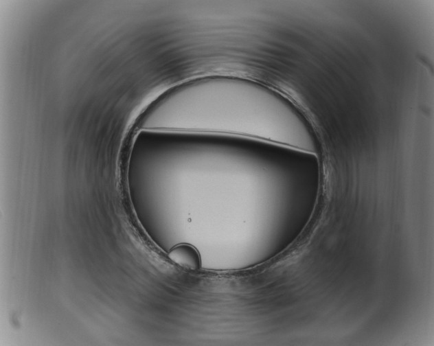 X0000099950780200805231000