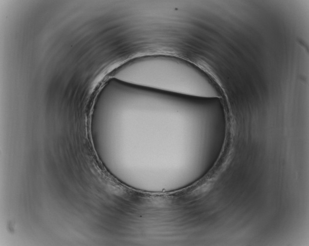 X0000099950781200805231000