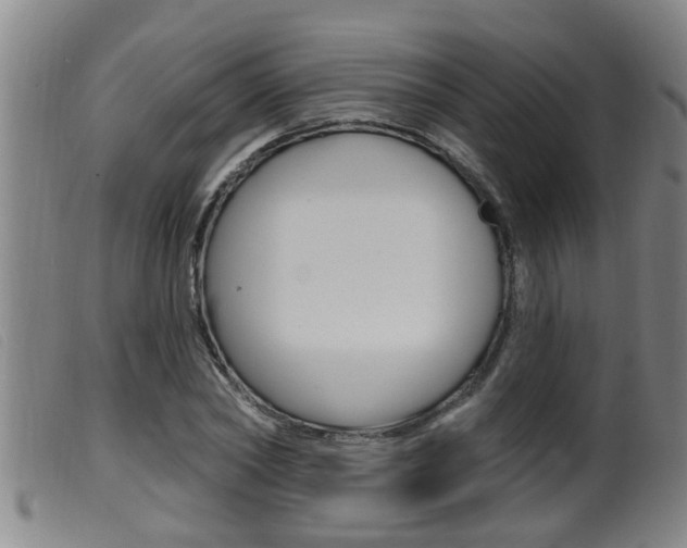 X0000099950782200805231000