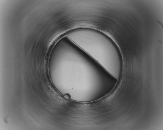 X0000099950783200805231000