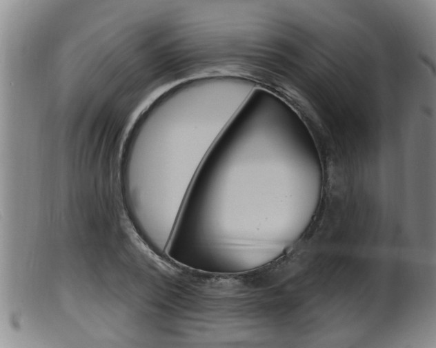 X0000099950784200805231000
