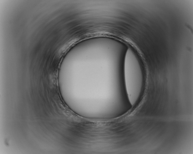X0000099950785200805231000