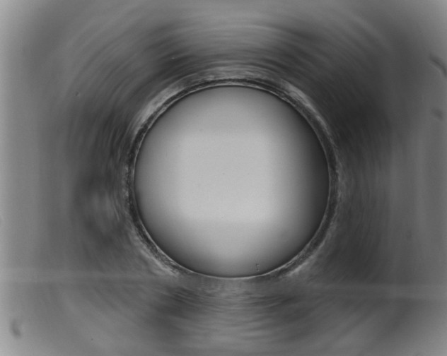 X0000099950786200805231000