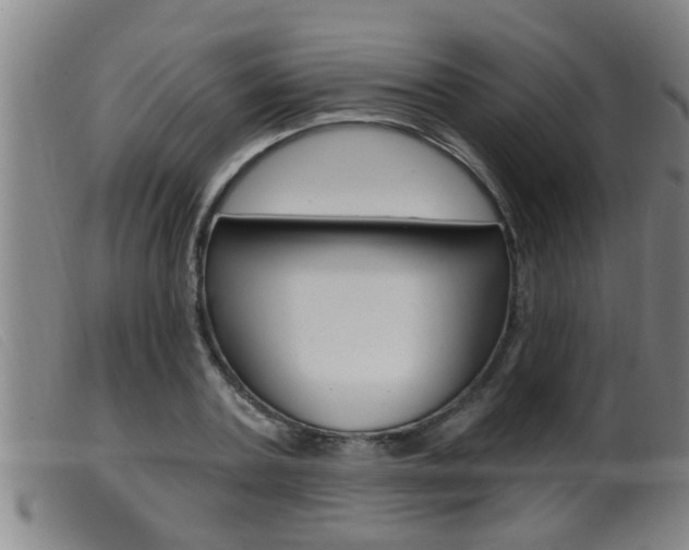 X0000099950787200805231000