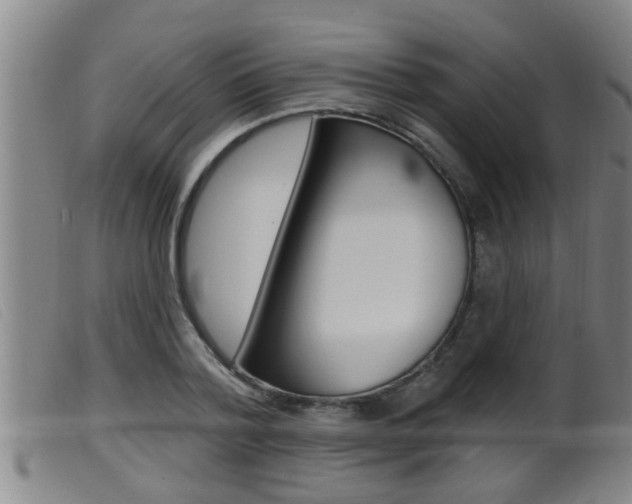 X0000099950788200805231000